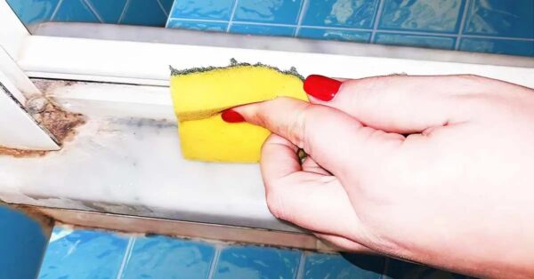Aquí le mostramos cómo deshacerse de las manchas negras de las esquinas de la ducha con 6 trucos ingeniosos