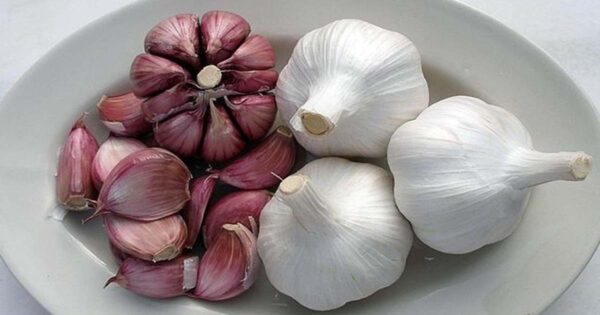 Beneficios y propiedades medicinales del ajo para la salud