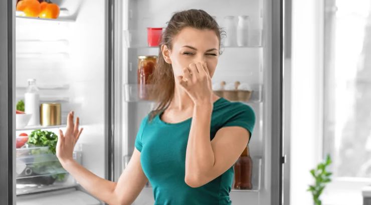 malos olores en el refrigerador