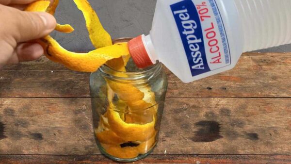 Cáscaras de naranja, si las pones en alcohol una vez, lo haces todo el tiempo.