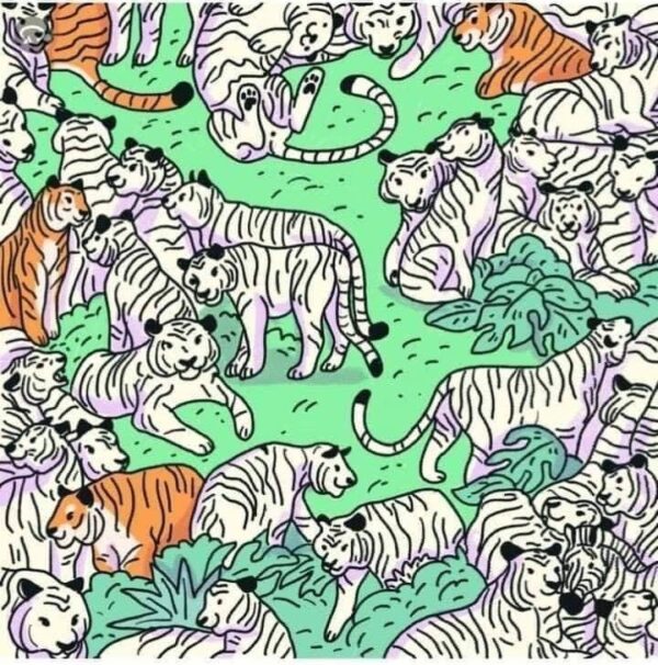 ¡ENCUENTRA A LA CEBRA ANTES DE QUE LOS TIGRES LA ENCUENTREN!