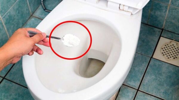 Esta mezcla natural hará que tu inodoro brille en 3 segundos: adiós a la suciedad