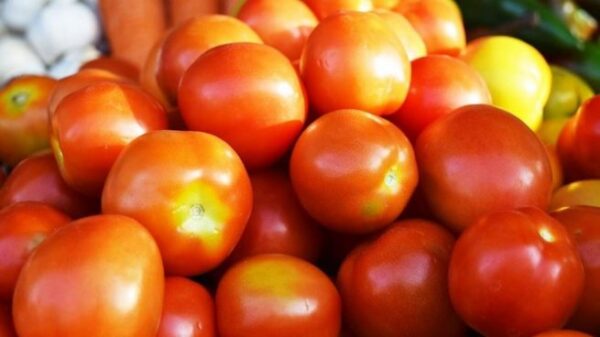 Estas son las razones por las que debes comer tomate.