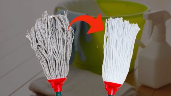 Fregona sucia, el truco casero para que vuelva a parecer nueva en 5 minutos