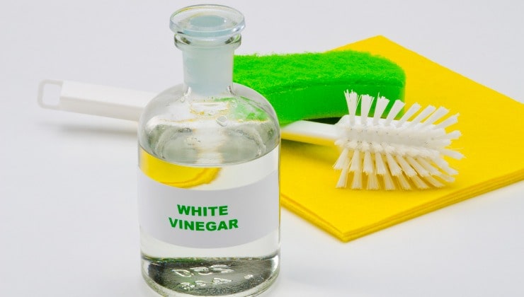 vinagre blanco