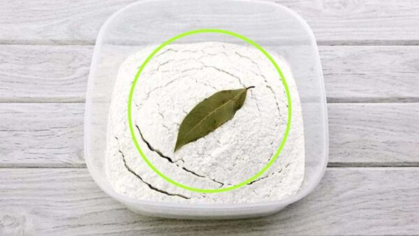 Hoja de laurel en harina, por qué utilizarla así: los beneficios