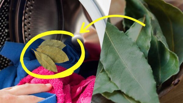 Laurel en la lavadora, te sorprenderá nada más ver la ropa: colada impecable