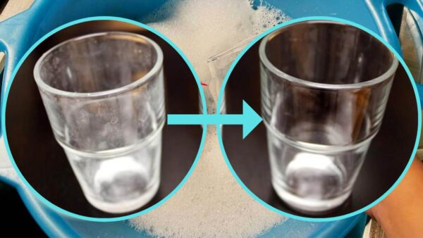 Los vasos opacos vuelven a brillar y brillar con el infalible método de los 3 lavabos