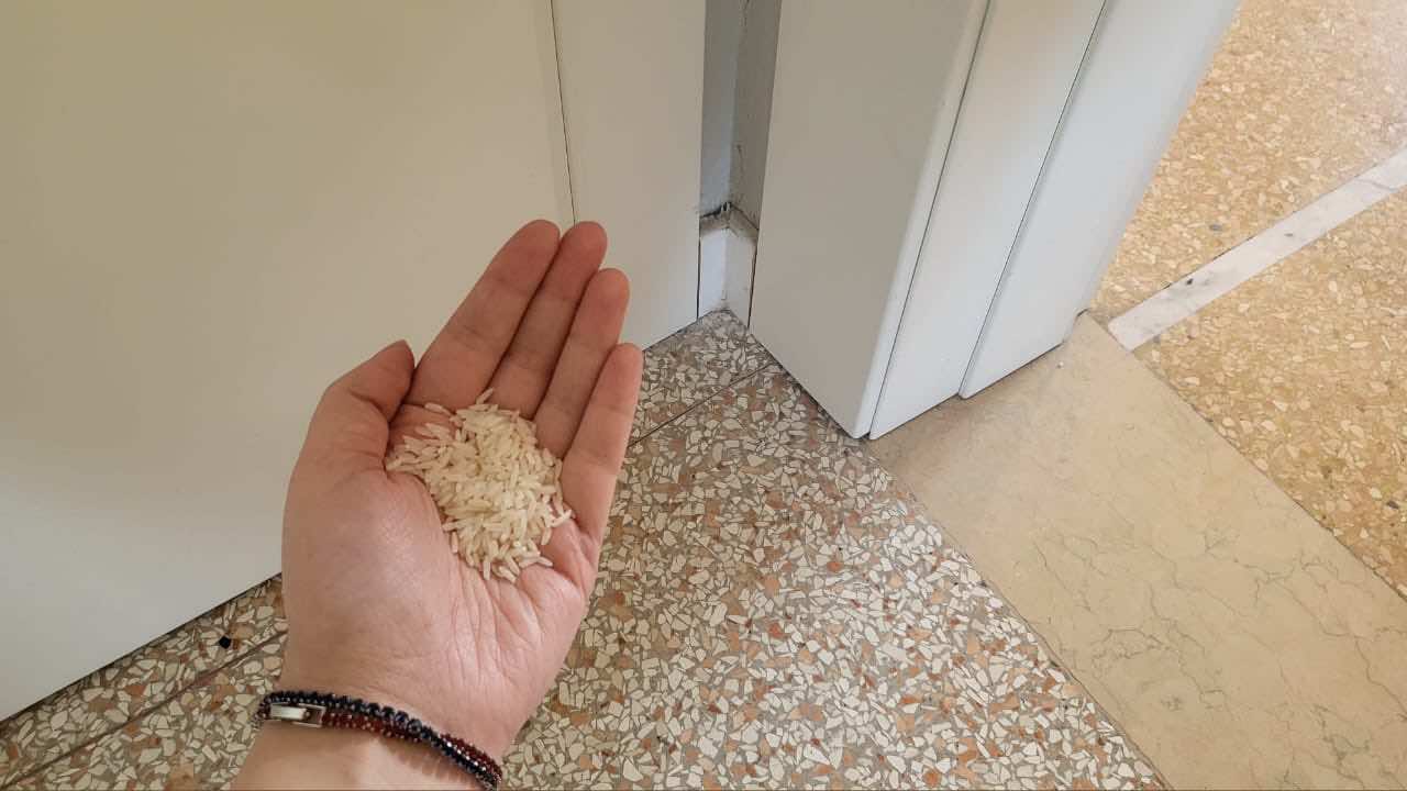 Arroz en los rincones de la casa