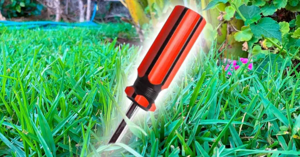 ¿Por qué es recomendable plantar un destornillador en el suelo? El truco inteligente de los jardineros experimentados