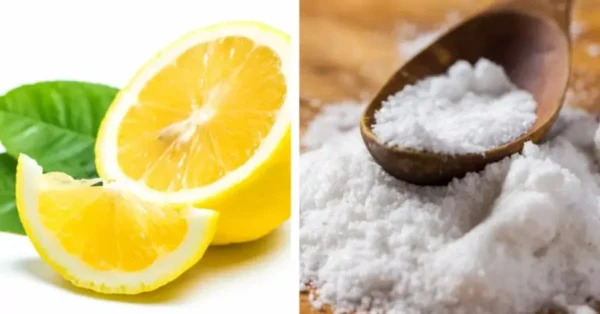 Sal y limón: la combinación que resuelve problemas