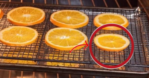 Secar naranjas: ¡aquí te explicamos cómo decorar y perfumar toda tu casa!