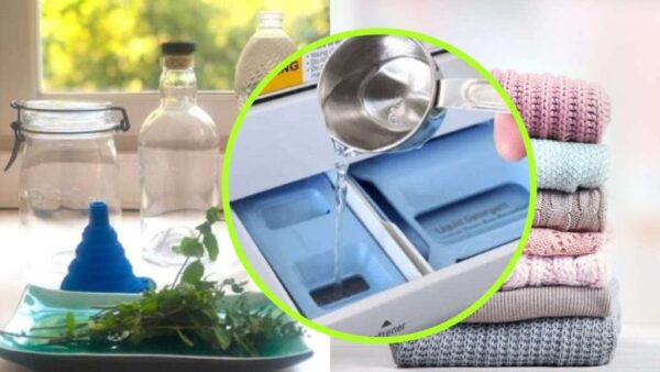 Suavizante casero, ropa con mucho aroma a menta: cómo prepararlo