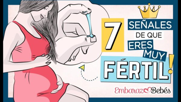 ¡7 SÍNTOMAS que revelan tu GRAN FERTILIDAD! 😱👌🏼 ¡Atención! ¡Posible Embarazo en Camino!
