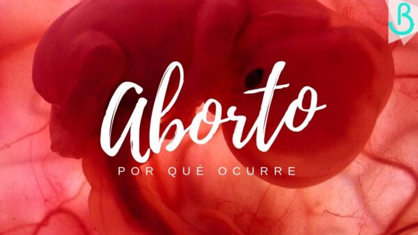 ¡EMBARAZO EN PELIGRO – ¿POR QUÉ SUCEDE Y QUÉ HACER? || Baby Suite por Pau!