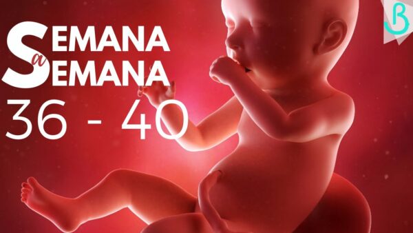👶🏻💖 ¡9 MESES DE EMBARAZO: SEMANAS 36-40! ¡Descubre cada semana con Baby Suite by Pau! 💫