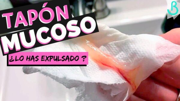 ¡Descubre el Misterio del Tapón Mucoso en el Embarazo! || Baby Suite por Pau