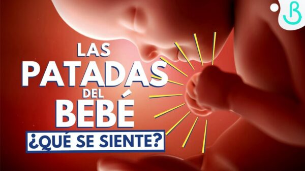 ¡Bebé en Movimiento! ¿Cómo y Cuándo Actuar? || Suite Bebé por Pau