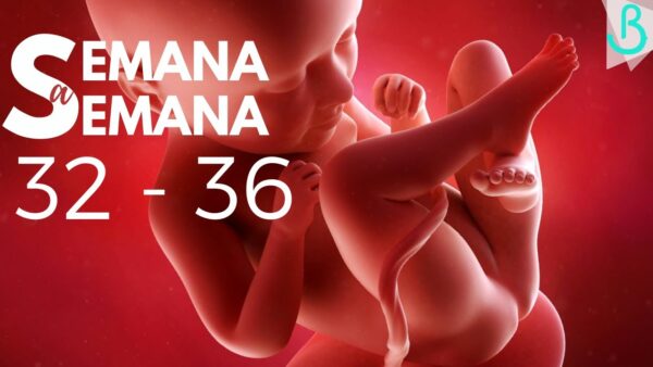 👶💖 ¡De la Semana 32 a la 36! | ¡Tu Tercer Trimestre Paso a Paso! || Suite para tu Bebé con Pau 💫