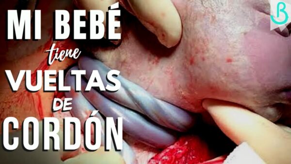 🤔🤱 ¡El Misterio del Cordón en la Panza de mi Bebé! || Baby Suite por Pau 💫