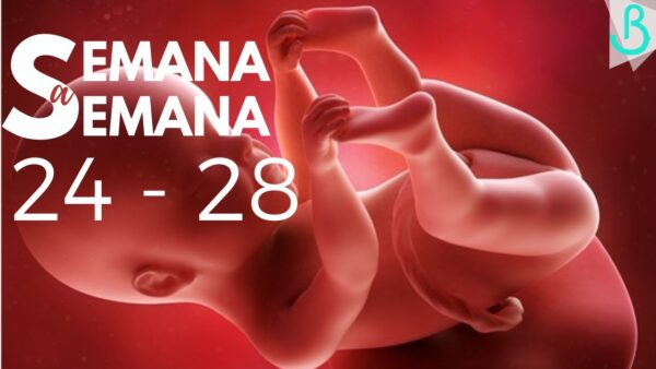 👶🏼🌟 EMOCIONANTE VIAJE: SEMANAS 24-28 DE EMBARAZO | 7 MESES | GUIA SEMANAL || Baby Suite por Pau