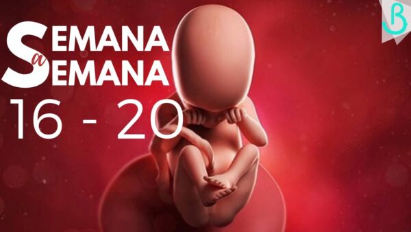 👶🏻💖 DESCUBRE TU EMBARAZO: SEMANAS 16 – 20 | 5 MESES FELICES | ¡PASO A PASITO CON BABY SUITE BY PAU! 🌟