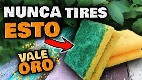 ¡No deseches, reutiliza! Esponjas usadas: ¡tesoros para tus plantas! Aprende a sacarles provecho en tu huerto urbano y jardín. 🌿✨
