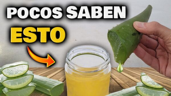 Logra una Piel Radiante: Receta de Aceite de Aloe Vera para una Piel Impecable