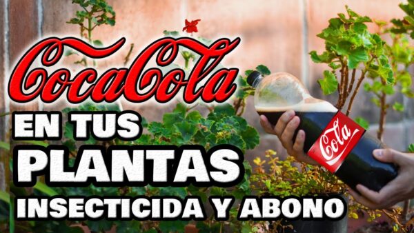 Coca-Cola: Tu aliado natural para un huerto exuberante ¡Descubre un increíble insecticida y abono casero!