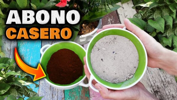 ¡Crea Magia en tu Jardín con Solo 2 Ingredientes! Potencia la Floración y Multiplica los Frutos con Este Fertilizante Casero.