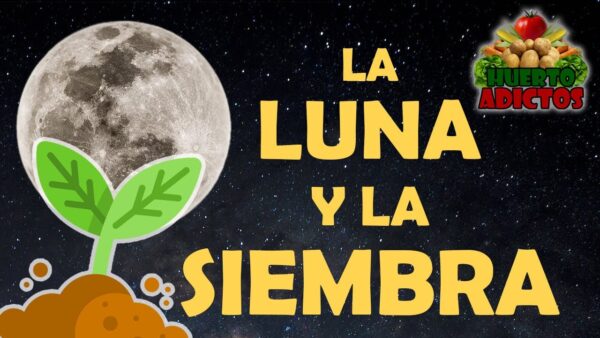 Plant Smarter, Grow Better: Harvesting Lunar Wisdom for Your Garden 🌙🌱