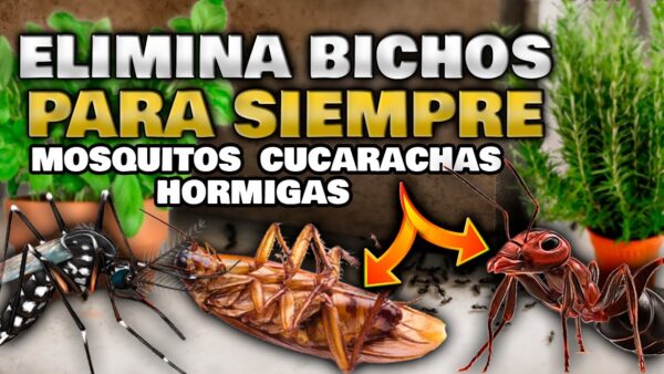 ¡Bye Bye Bichos! 3 Poderosas Recetas para Deshacerte de Cucarachas, Hormigas y Mosquitos de una Vez por Todas | ¡Sayonara a las Plagas!